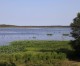 ADEQ issues harmful algal bloom advisory for Bois D’arc Lake