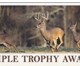 Triple Trophy Award Available To Deer Hunters