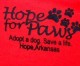 Hope For Paws To Hold Bake Sale & Adoption Drive