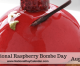 National raspberry bombe day