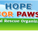 Hope For Paws Sponsors Spay and Neuter Clinic