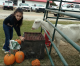 Ag Science Day