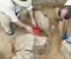 Online archeology program Saturday