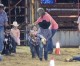 Superheroes descend on Nevada County rodeo