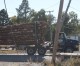 Second log truck takes out power lines