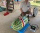 Lloyd Bright takes top watermelon weigh-off prize