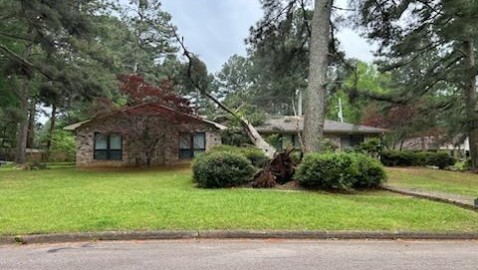 Pine Tree Hits House in Strong Edition in Hope