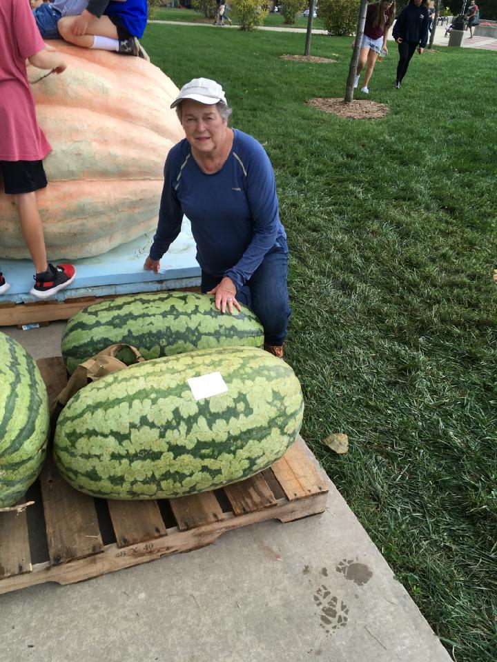 Bright Watermelons Rank High At Republic, Missouri Pumpkin Daze