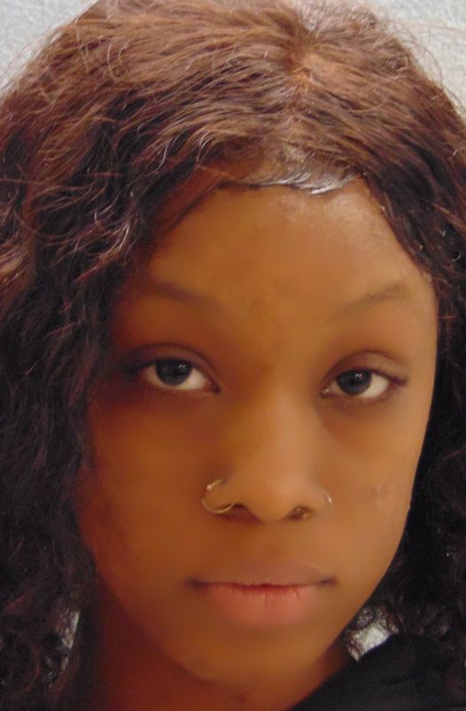 Lisa Horton Arrested For Unlawful Discharge Of Firearm From A Vehicle