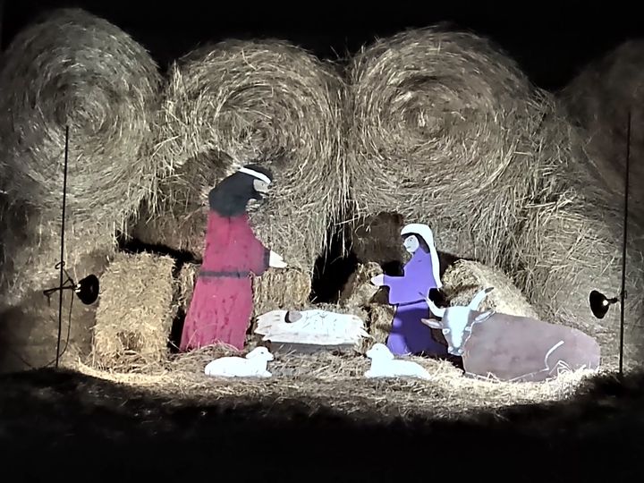 Hare Family Nativity On Highway 32 At Oakhaven