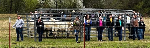 Prescott FFA students compete in CDE