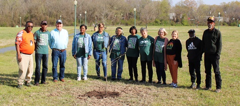 Apple tree planted for Arbor Day