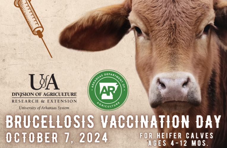 Nevada & Hempstead Counties joint Brucellosis Clinic