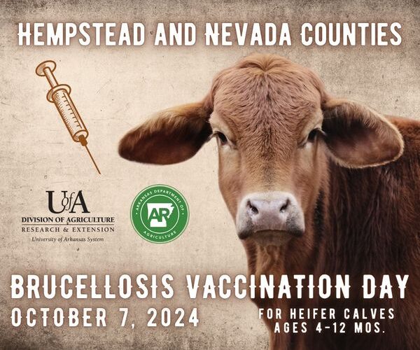FREE brucellosis vaccination day October 7th