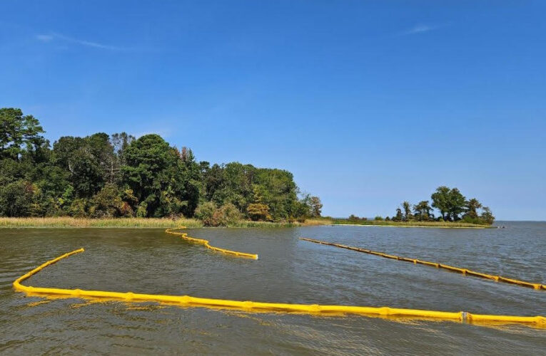 State park access reopens at Millwood as AGFC knocks back invasive plant