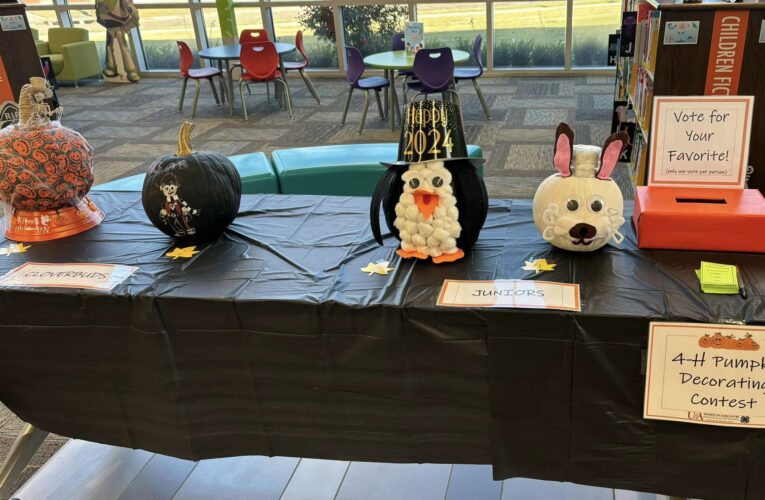 Hempstead County 4-H Pumpkin Decorating Contest on display