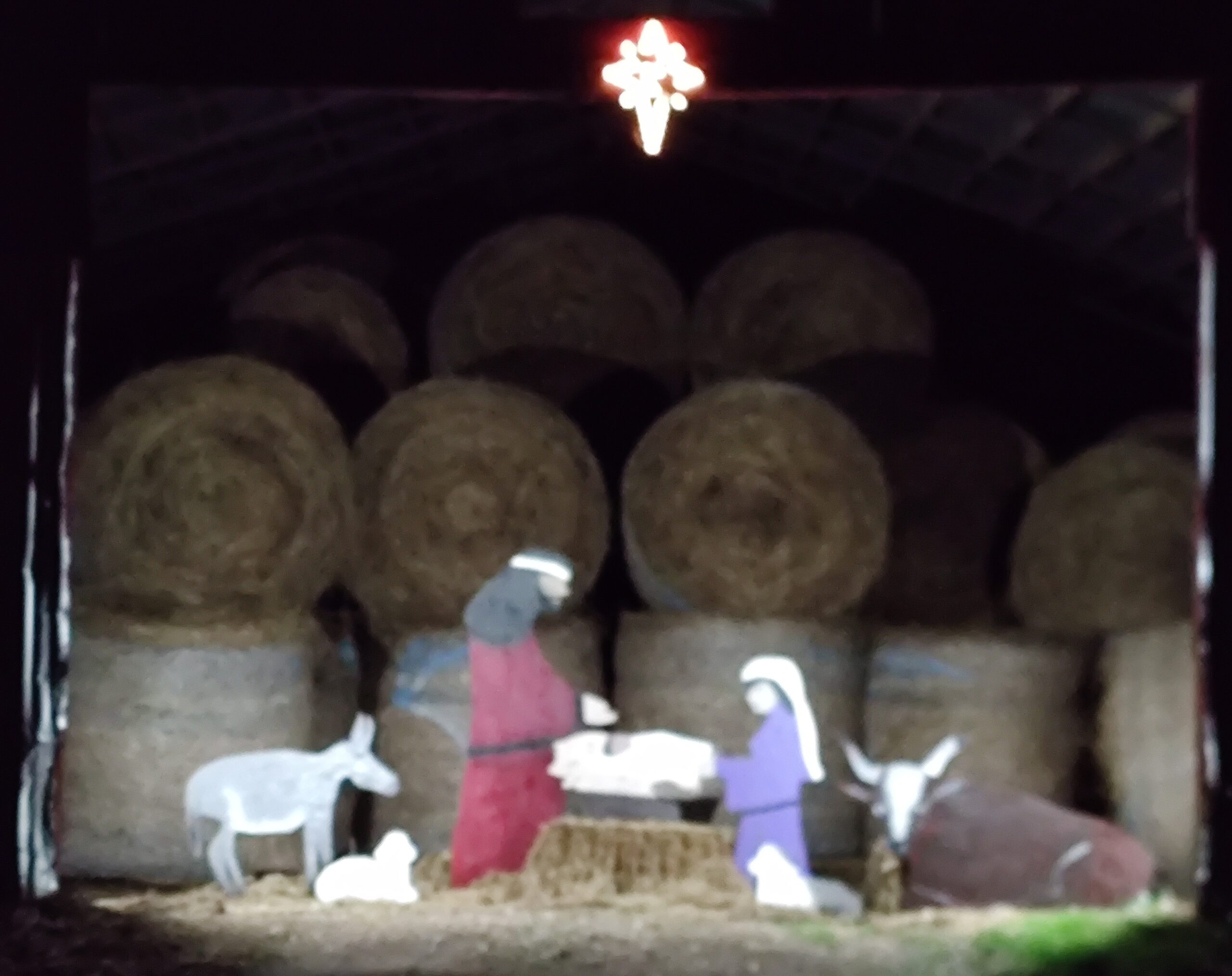 Nativity In Barn On Highway 32 Near Oakhaven – Hope Prescott