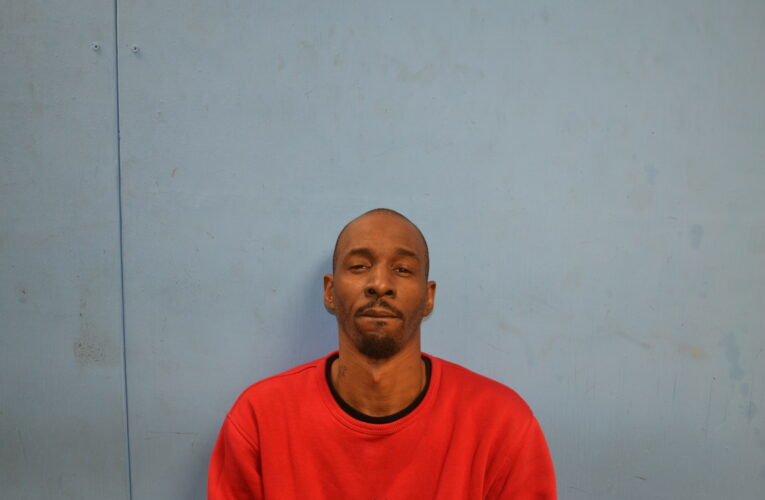 Local authorities make felony arrest