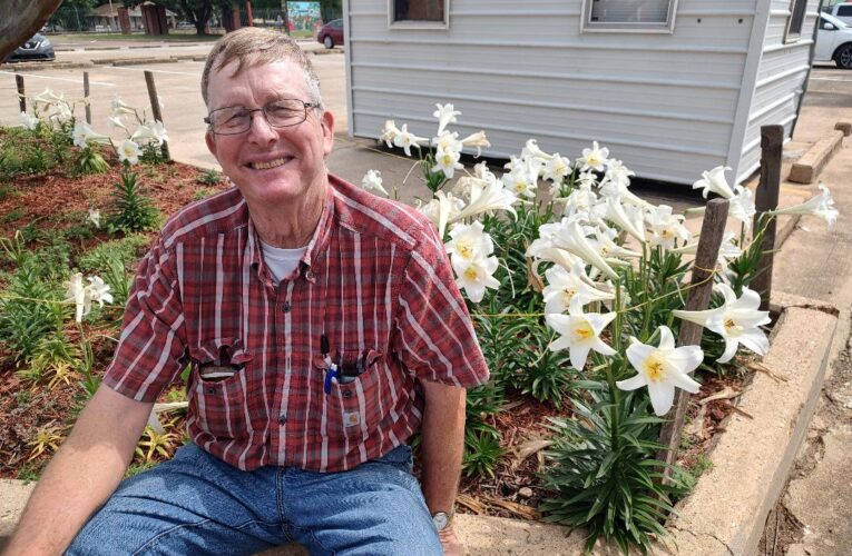 Beautiful Lillies Bloom in Flower Bed Behind Western Home and Auto