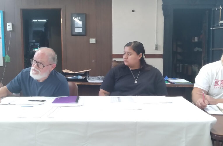 Blevins City Council