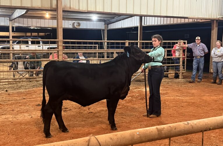 Hempstead County Fair, Livestock Show, and Exhibits