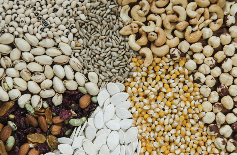 “All About Seeds” Workshop! September 6th at Washington