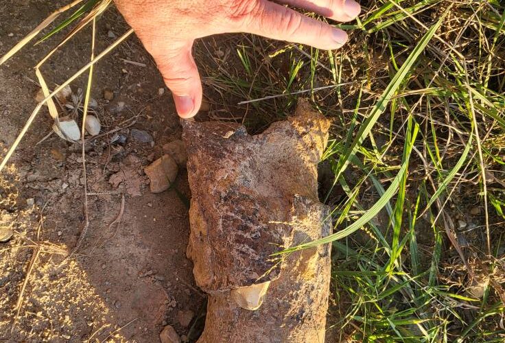 More WWII munitions turn up around Proving Grounds