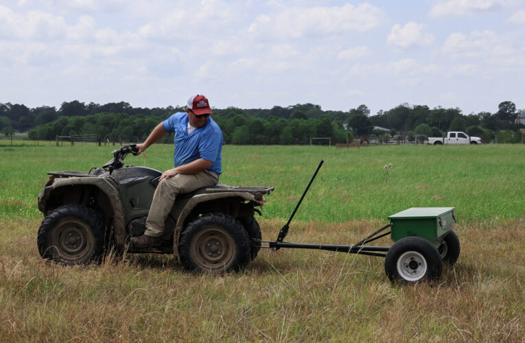 UAM partners in multi-state study on crabgrass pasture establishment