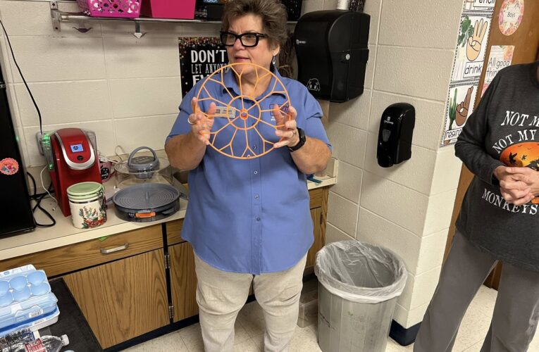 Egg-hatching installed units at Clinton Primary School