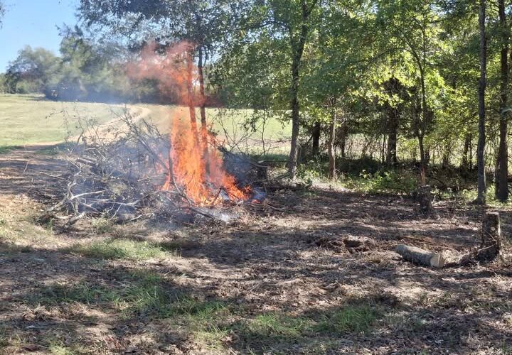 Fighting invasive species at Prairie D’Ane