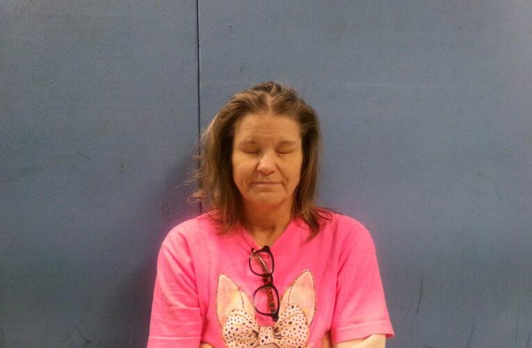 Theft of Property charged