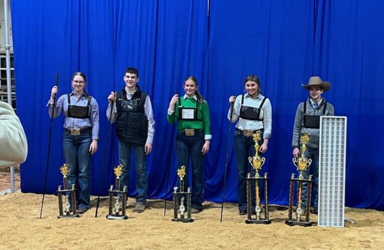 Arkansas Junior Cattle Association Thanksgiving Classic