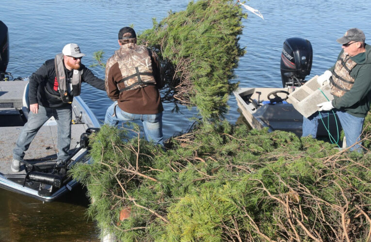 Used Christmas trees needed for AGFC’s Habitat for the Holidays program