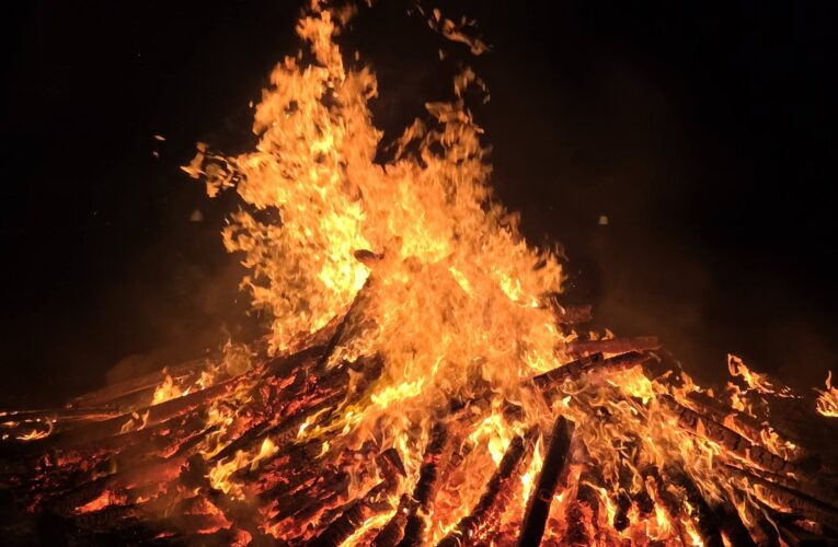 Bonfire of the Blue Jays