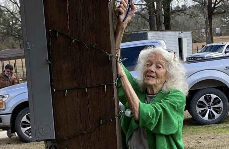 Emmet Vision Association stages cleanup