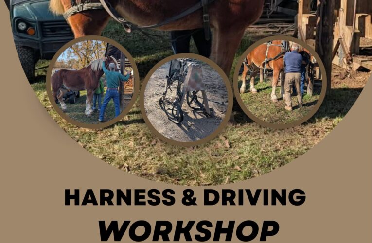 Learn to drive a horse team at Historic Washington State Park’s hands-on workshop