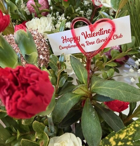 Prescott Rose Garden Club make Cups of Cheer