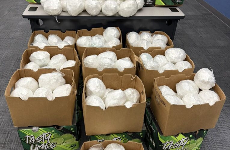 Big methamphetamine bust at Guernsey scales