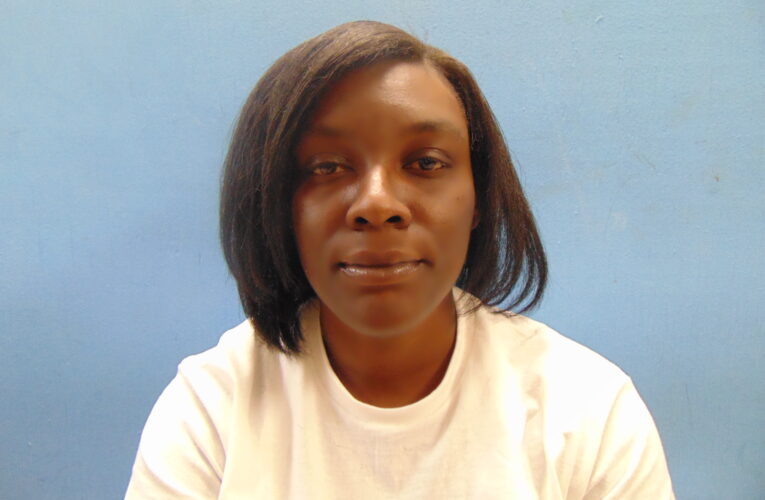 Hope Police felony arrest