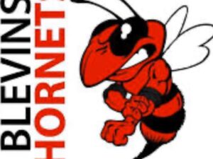 Blevins School News