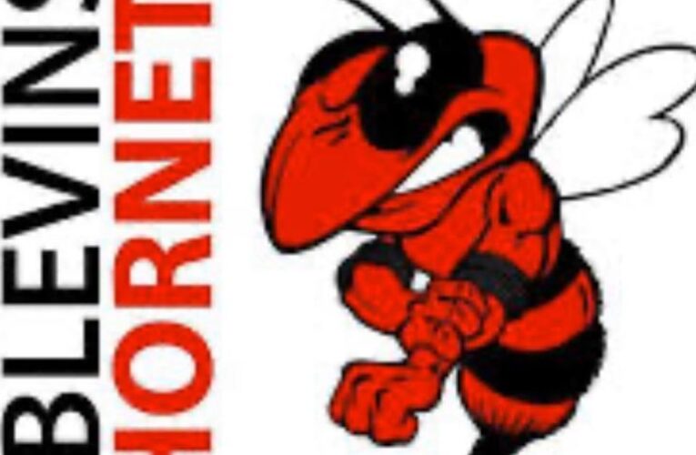 Blevins School Board Meets